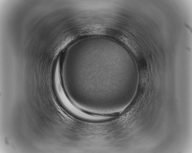 X0000098000677200803241342