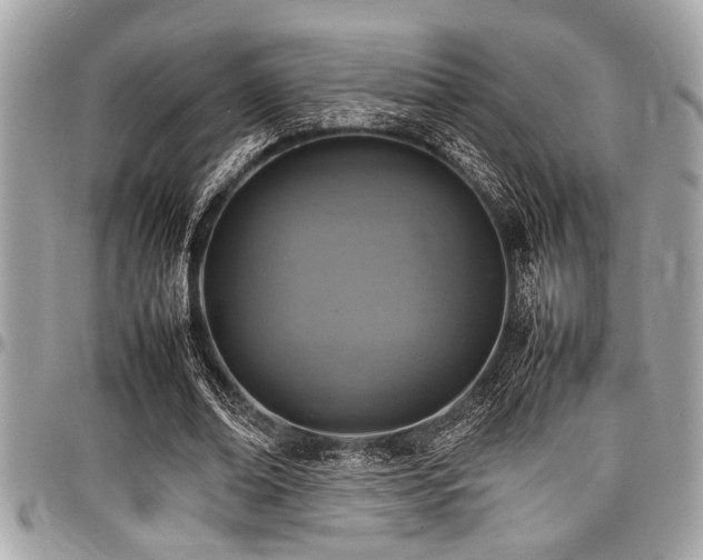 X0000098000678200803241342