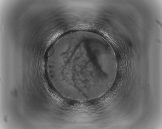 X0000098000679200803241342