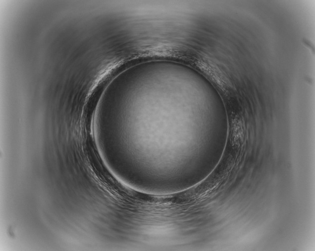 X0000098000680200803241342