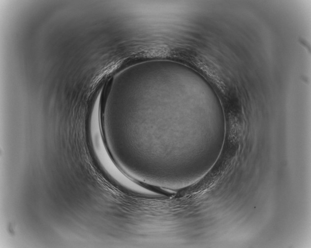 X0000098000681200803241342