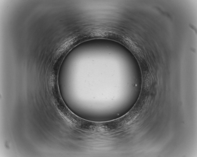 X0000098000683200803241342