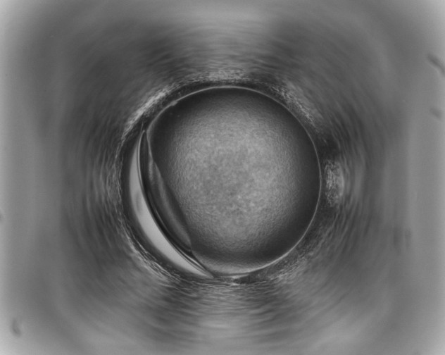 X0000098000684200803241342