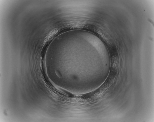 X0000098000685200803241342