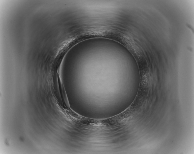 X0000098000688200803241342