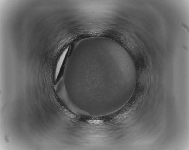 X0000098000689200803241342