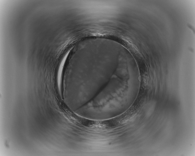 X0000098000691200803241342
