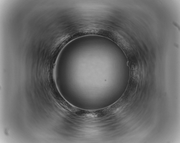 X0000098000692200803241342