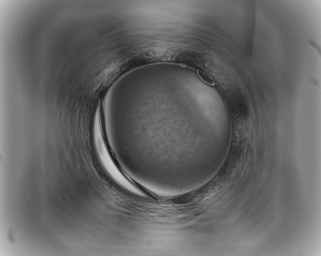 X0000098000693200803241342