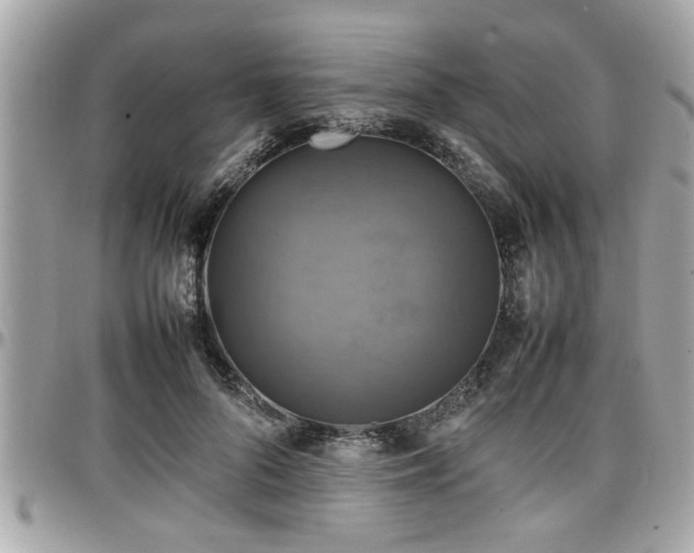 X0000098000696200803241342