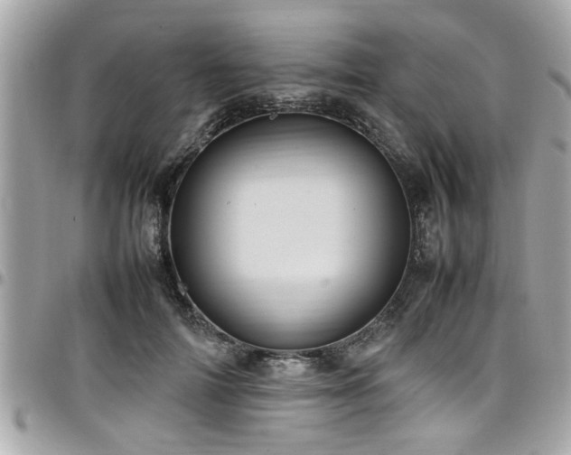 X0000098000698200803241342