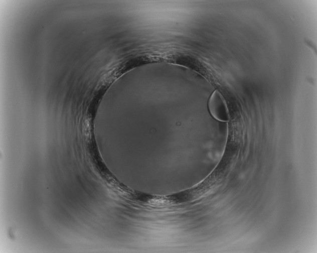 X0000098000699200803241342
