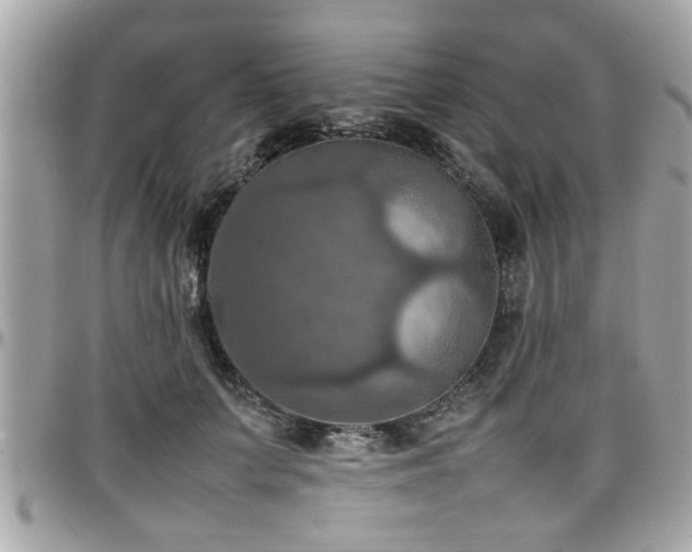 X0000098000703200803241342