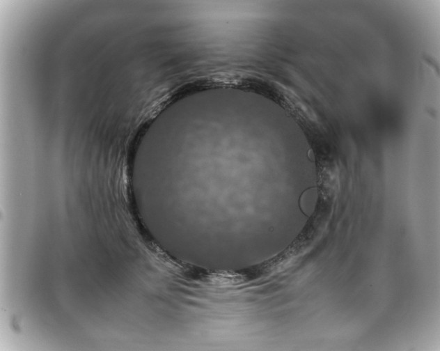 X0000098000707200803241342