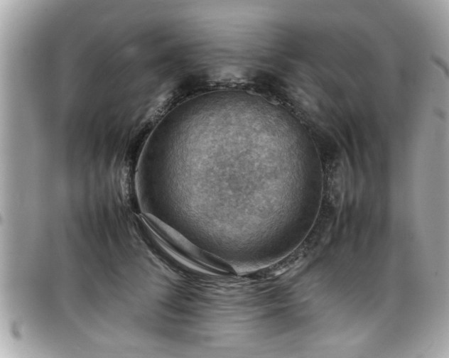 X0000098000708200803241342