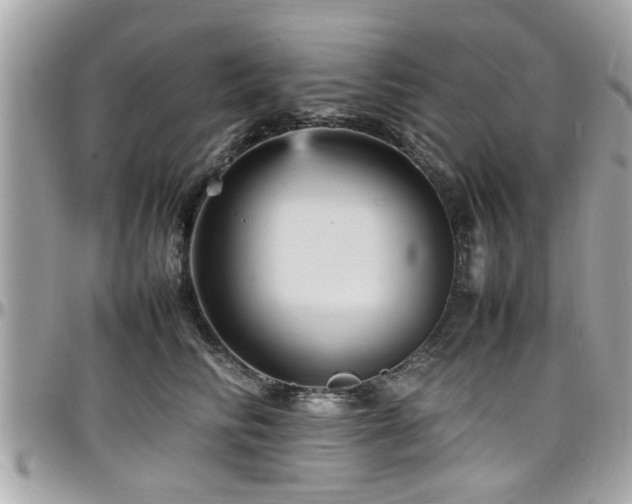 X0000098000710200803241342