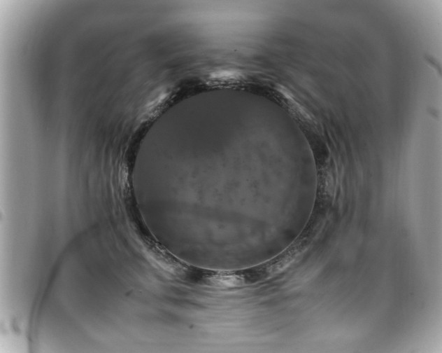 X0000098000711200803241342