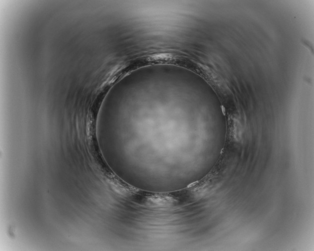 X0000098000712200803241342