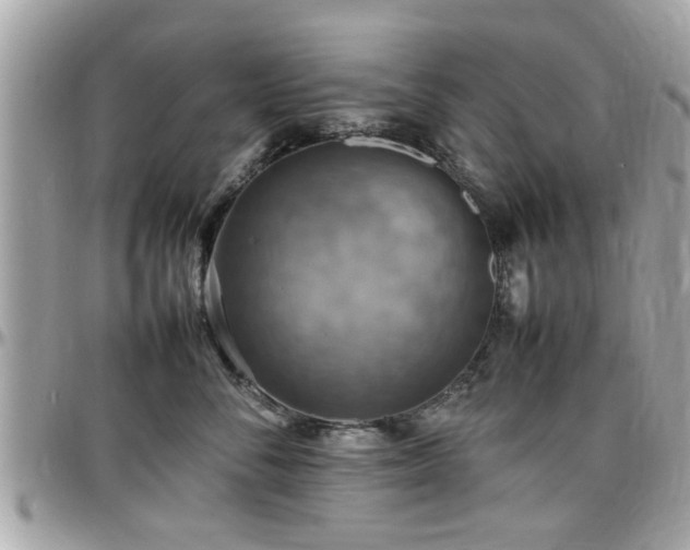 X0000098000716200803241342