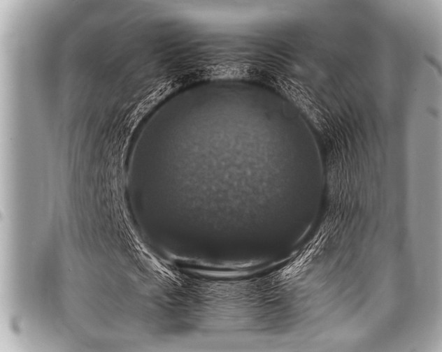 X0000098000721200803241341