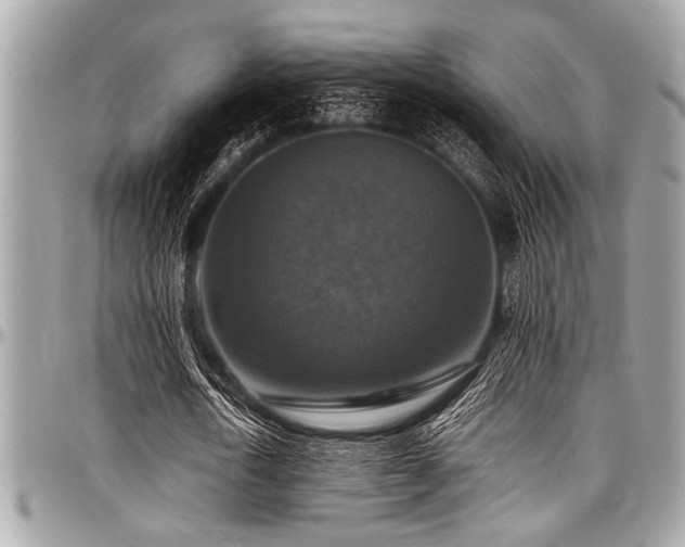 X0000098000722200803241341