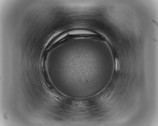 X0000098000723200803241341