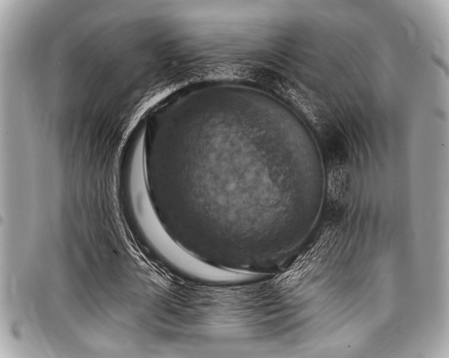 X0000098000724200803241341