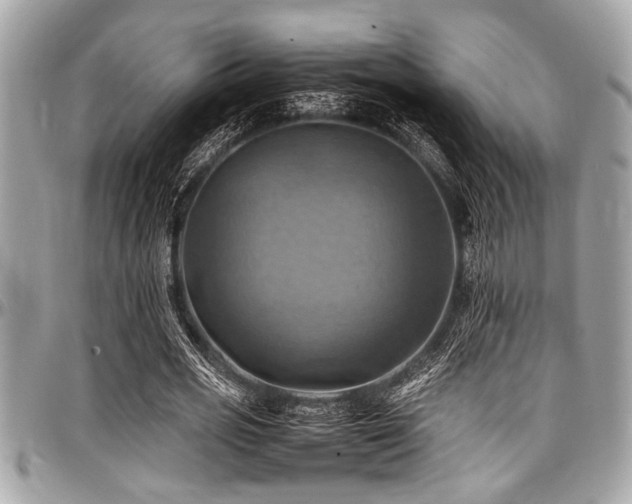 X0000098000725200803241341