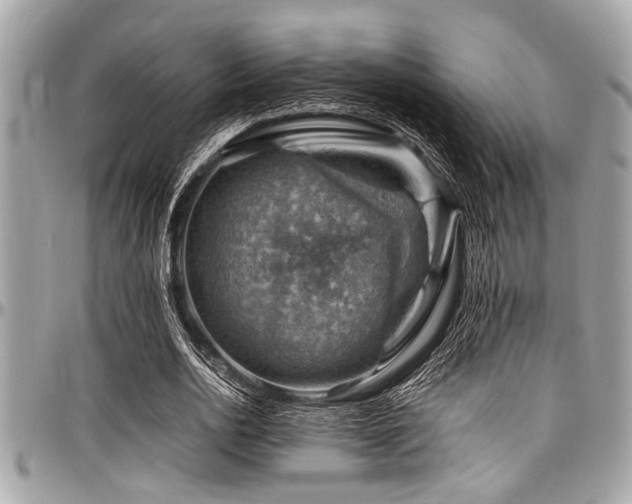 X0000098000726200803241341