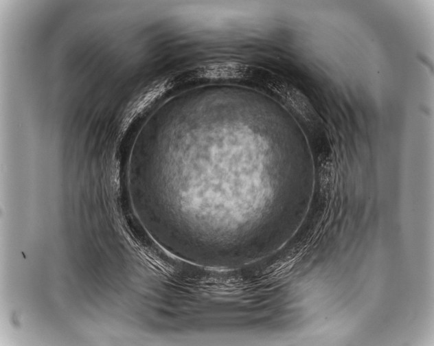 X0000098000727200803241341