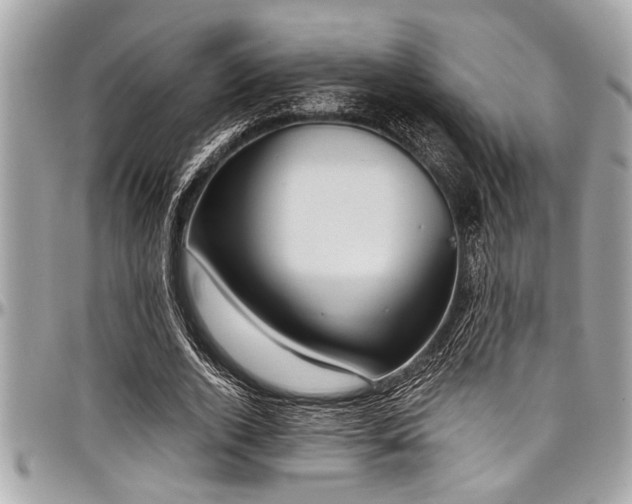 X0000098000728200803241341