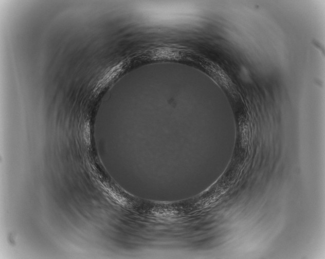X0000098000729200803241341