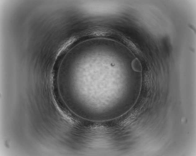 X0000098000730200803241341
