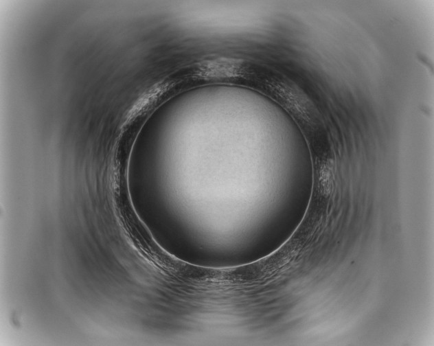 X0000098000732200803241341