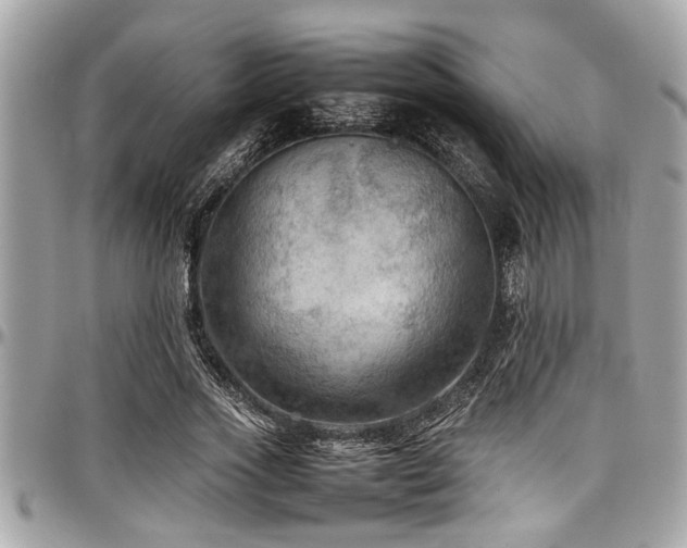 X0000098000733200803241341