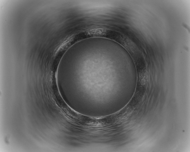 X0000098000735200803241341