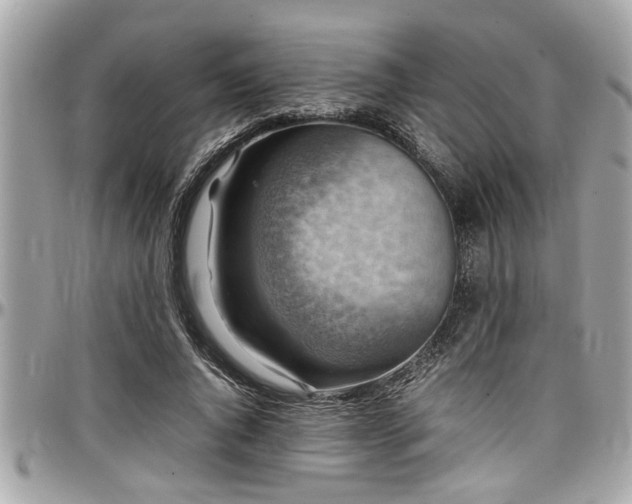 X0000098000736200803241341