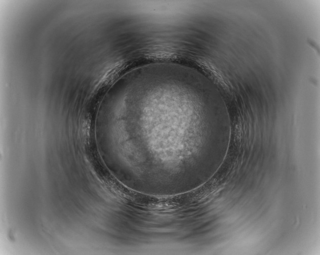 X0000098000739200803241341