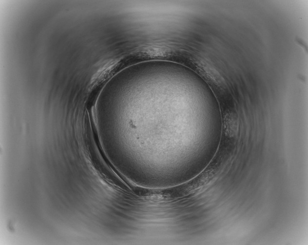 X0000098000740200803241341