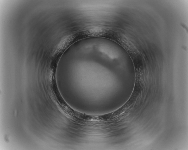 X0000098000742200803241341