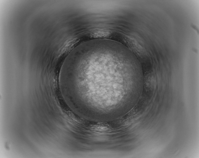 X0000098000743200803241341