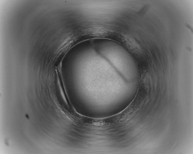 X0000098000744200803241341