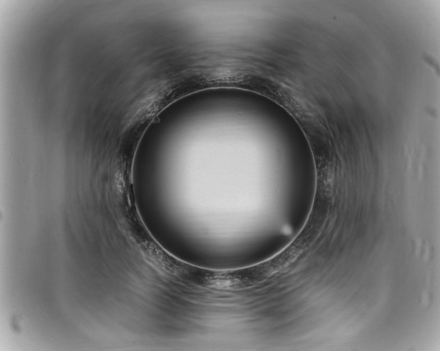 X0000098000746200803241341