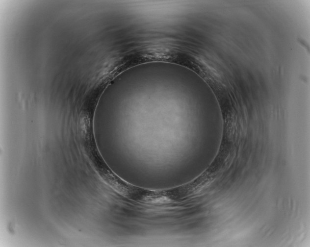 X0000098000747200803241342