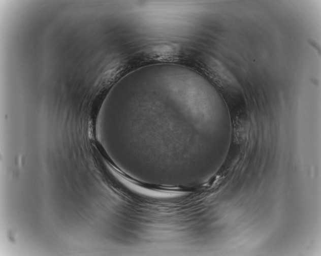 X0000098000748200803241342