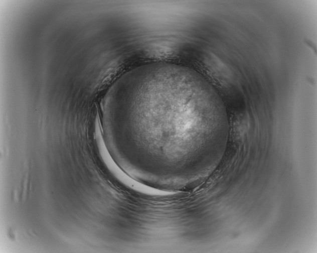 X0000098000750200803241342