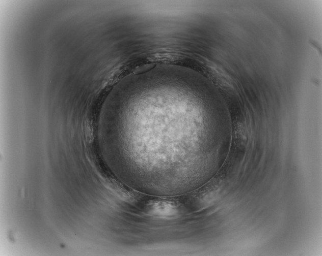X0000098000751200803241342