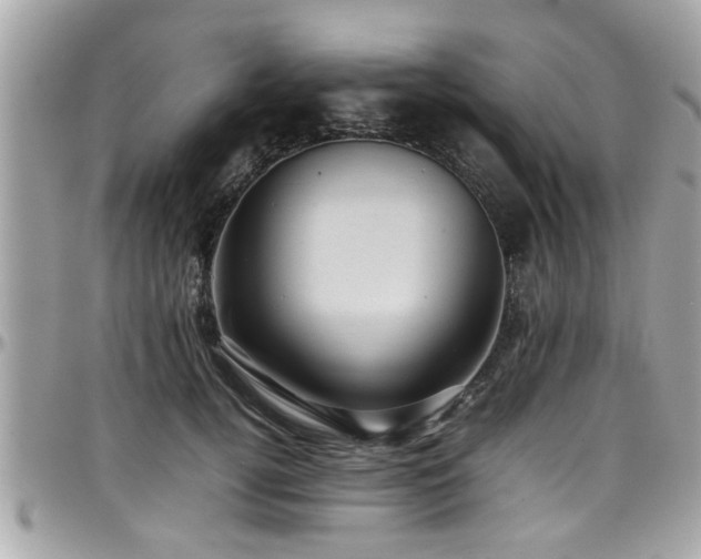 X0000098000752200803241342