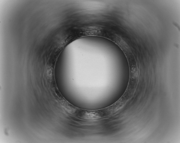 X0000098000753200803241342
