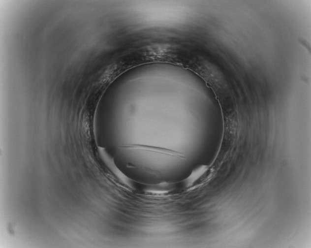X0000098000754200803241342